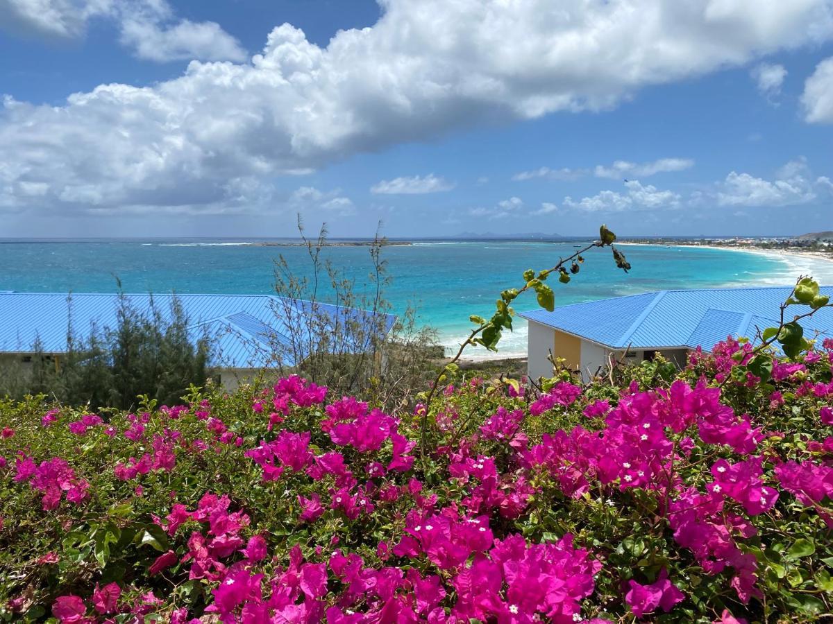 Ocean Sxm Studio Cul de Sac Eksteriør bilde